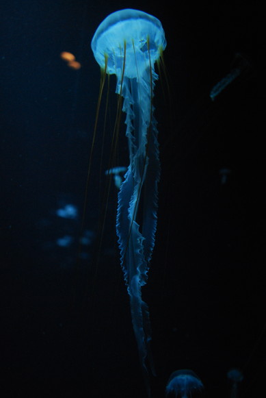 e0172592_16853.jpg