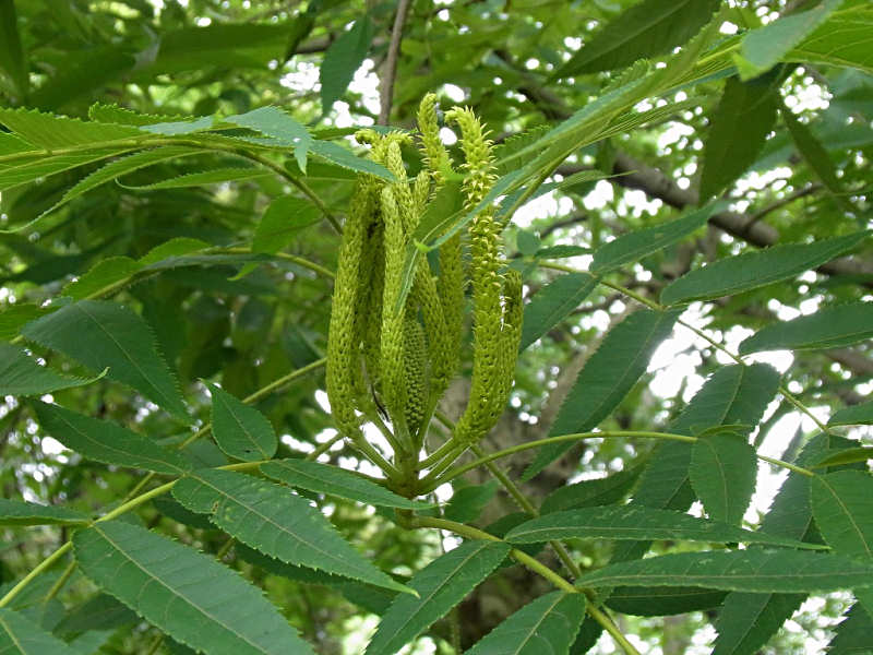 f0204094_20412156.jpg