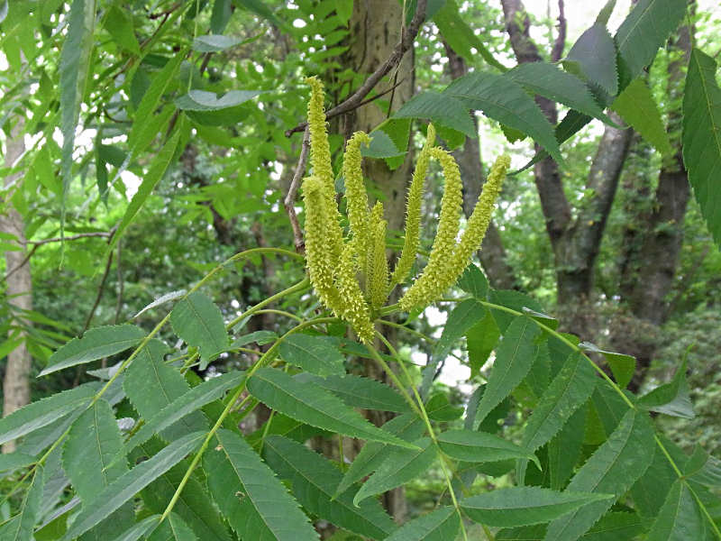 f0204094_20414215.jpg