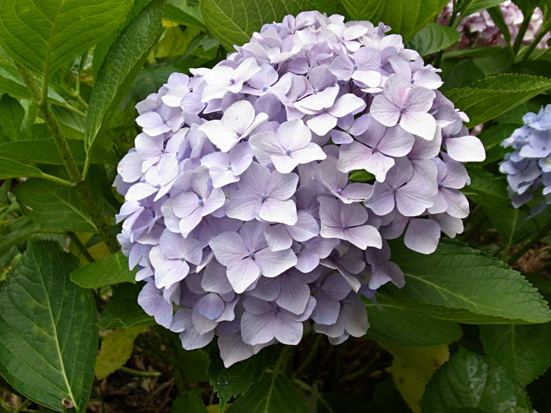 f0204094_23523262.jpg