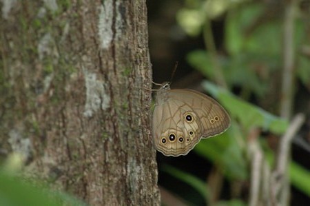 c0049095_21472232.jpg