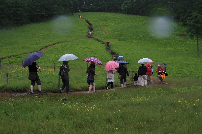 雨とすずらん＠入笠山＆清里　　２０１０・６・２６（土）～２７（日）_c0213096_2129965.jpg