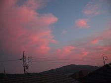 d0140596_17304132.jpg