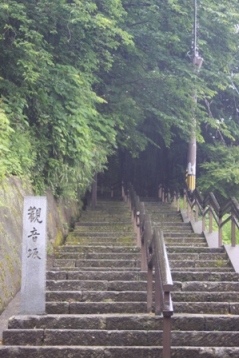 b0138798_1437159.jpg