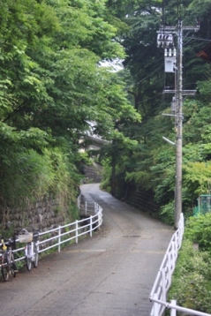 b0138798_14554874.jpg
