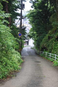 b0138798_14562671.jpg
