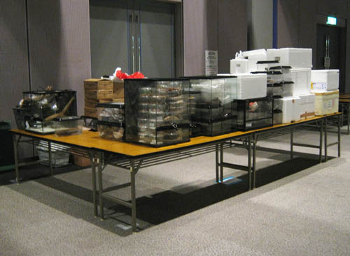c0165803_21441156.jpg