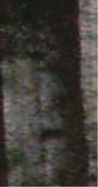 e0103408_1310182.gif