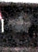 e0103408_13103970.gif