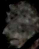 e0103408_13162692.gif