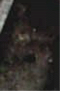 e0103408_13173187.gif