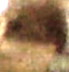 e0103408_1317386.gif