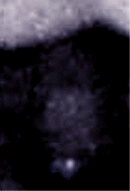 e0103408_1317543.gif