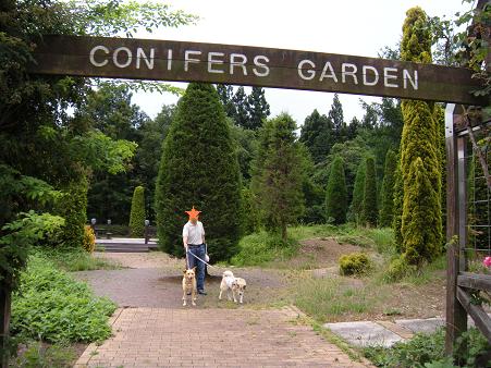 2010年初夏の旅 ①　上信越道を経て菅平高原へ（６月２７日）_f0057509_1535372.jpg