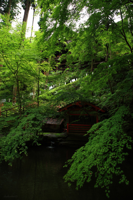 石山寺の新緑_f0181310_21411333.jpg