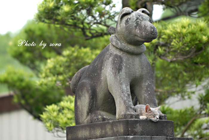 寄り道の先は・・・　成田山♪♪_e0160417_11341844.jpg