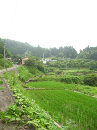 e0064227_0574.jpg