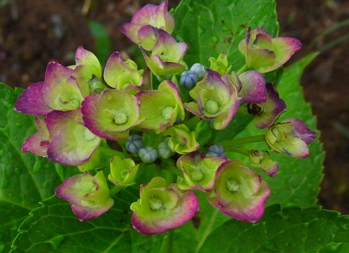 f0214527_93238.jpg