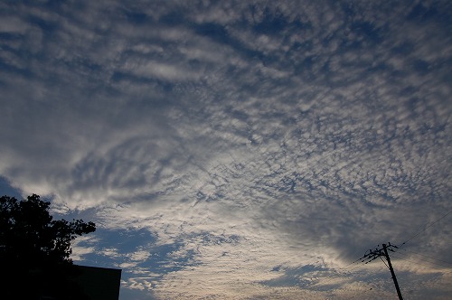 余裕_b0097729_2149516.jpg