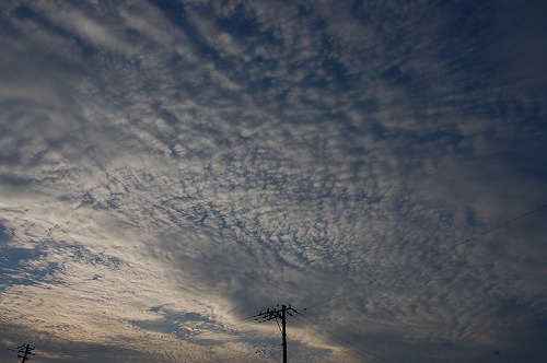 余裕_b0097729_21523153.jpg