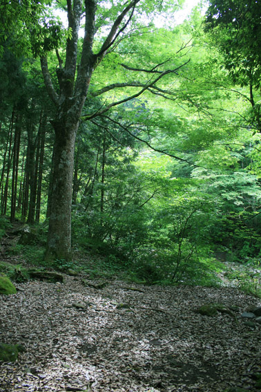 c0107829_71058.jpg