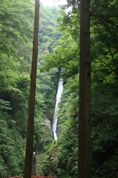 c0107829_73576.jpg