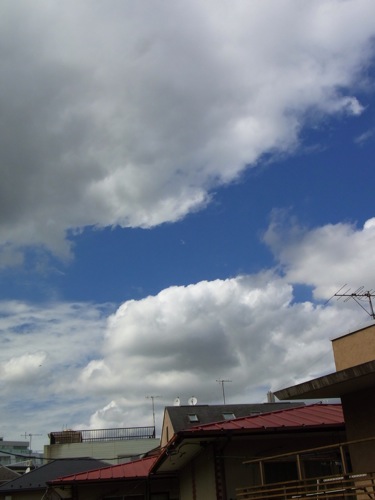 b0156734_1511891.jpg
