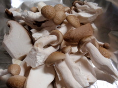 c0097838_15132365.jpg