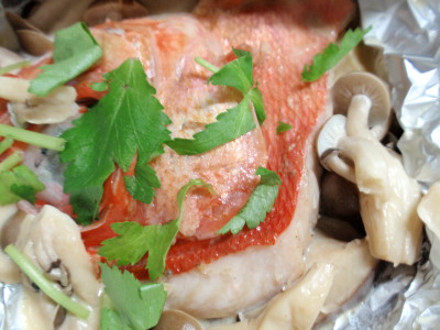 c0097838_1514221.jpg