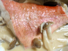 c0097838_15501285.jpg