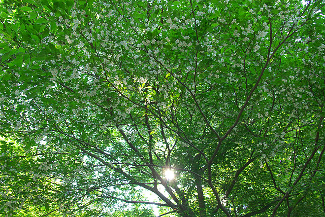 c0067040_23122160.jpg