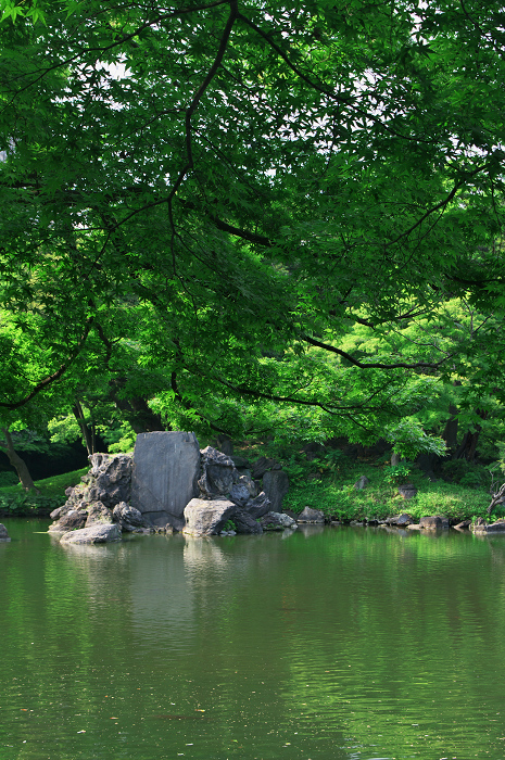 都会のオアシスの新緑(小石川後楽園)_f0155048_010194.jpg