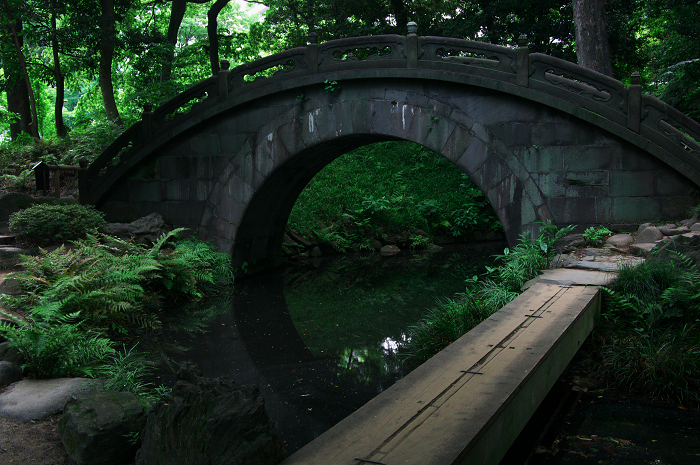 都会のオアシスの新緑(小石川後楽園)_f0155048_0151277.jpg