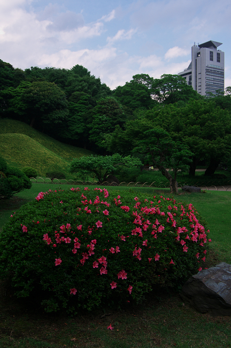 都会のオアシスの新緑(小石川後楽園)_f0155048_094073.jpg