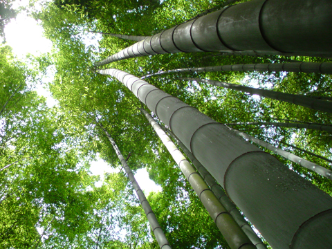 f0073254_0332999.jpg