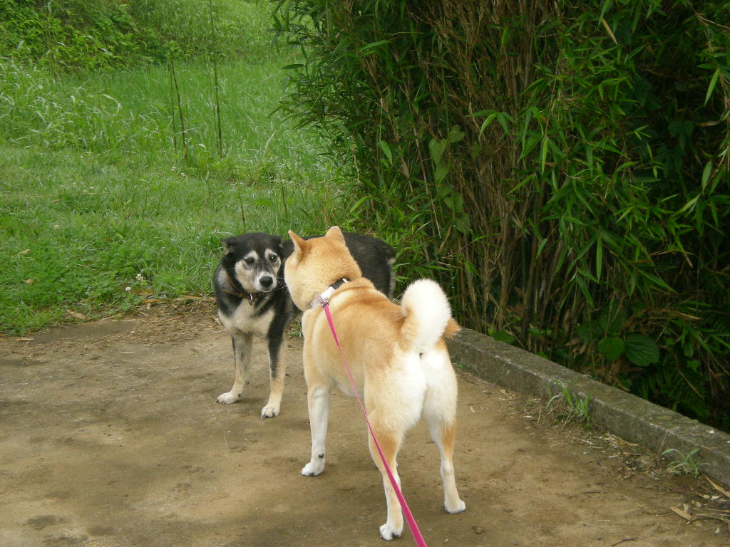 2010年6月30日(水)夢をありがとう!!!_f0060461_8215628.jpg
