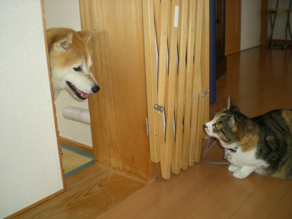 2010年6月30日(水)夢をありがとう!!!_f0060461_8251643.jpg