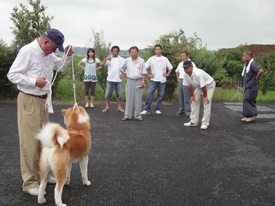 秋田犬の展覧会_b0124462_82710100.jpg