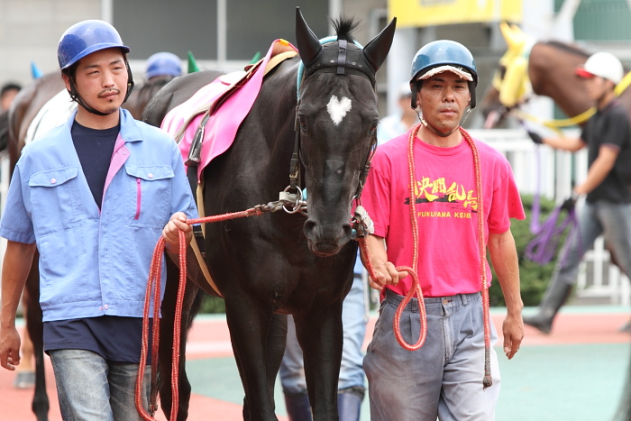 2010年6月27日（日） 福山競馬 5R 福山・高知連携円福寺シリーズ三戦 C6 その1_a0077663_5262242.jpg