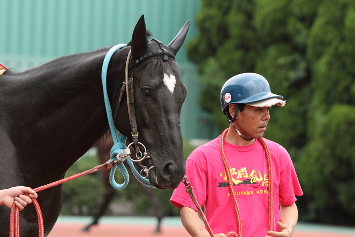 2010年6月27日（日） 福山競馬 5R 福山・高知連携円福寺シリーズ三戦 C6 その1_a0077663_526328.jpg