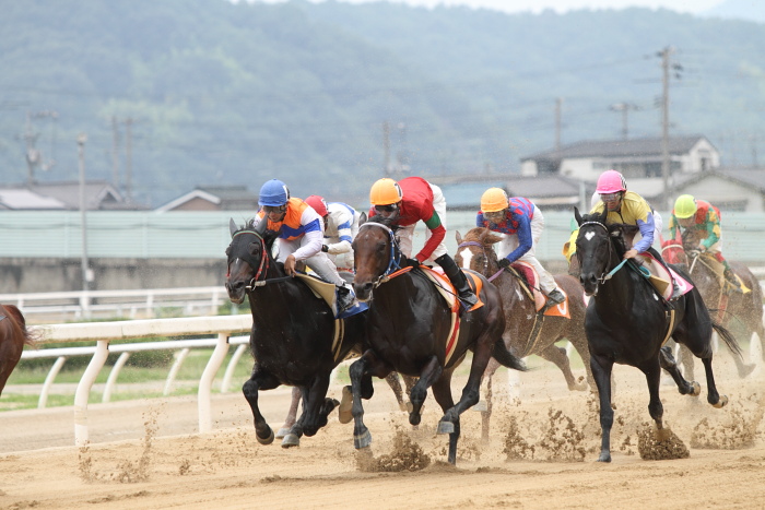 2010年6月27日（日） 福山競馬 5R 福山・高知連携円福寺シリーズ三戦 C6 その1_a0077663_5265532.jpg