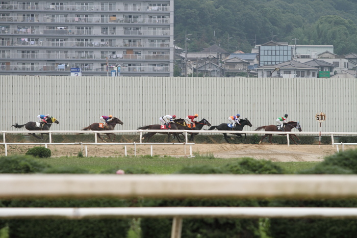 2010年6月27日（日） 福山競馬 5R 福山・高知連携円福寺シリーズ三戦 C6 その1_a0077663_5271695.jpg