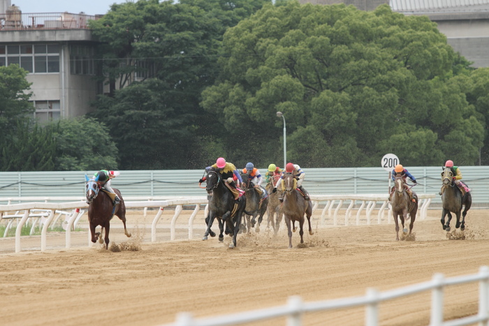 2010年6月27日（日） 福山競馬 5R 福山・高知連携円福寺シリーズ三戦 C6 その1_a0077663_5272744.jpg