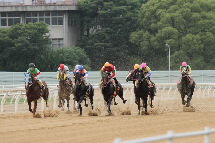 2010年6月27日（日） 福山競馬 5R 福山・高知連携円福寺シリーズ三戦 C6 その1_a0077663_5411529.jpg
