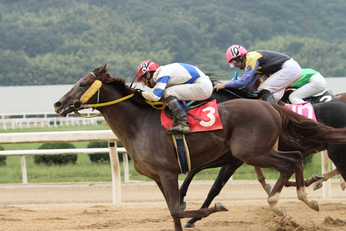 2010年6月27日（日） 福山競馬 5R 福山・高知連携円福寺シリーズ三戦 C6 その2_a0077663_784768.jpg