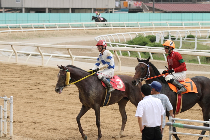 2010年6月27日(日) 福山競馬 5R 福山・高知連携円福寺シリーズ三戦 C6 その2_a0077663_791020.jpg
