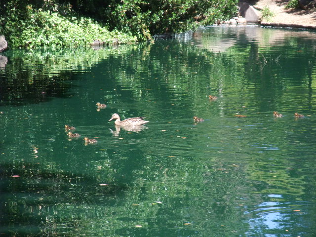 c0115366_229346.jpg