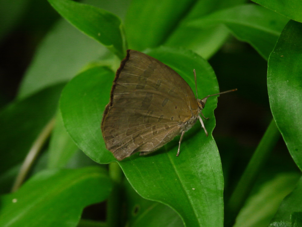 a0146869_43145.jpg