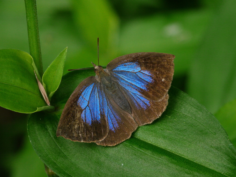 a0146869_44553.jpg