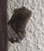 c0161474_13572496.jpg